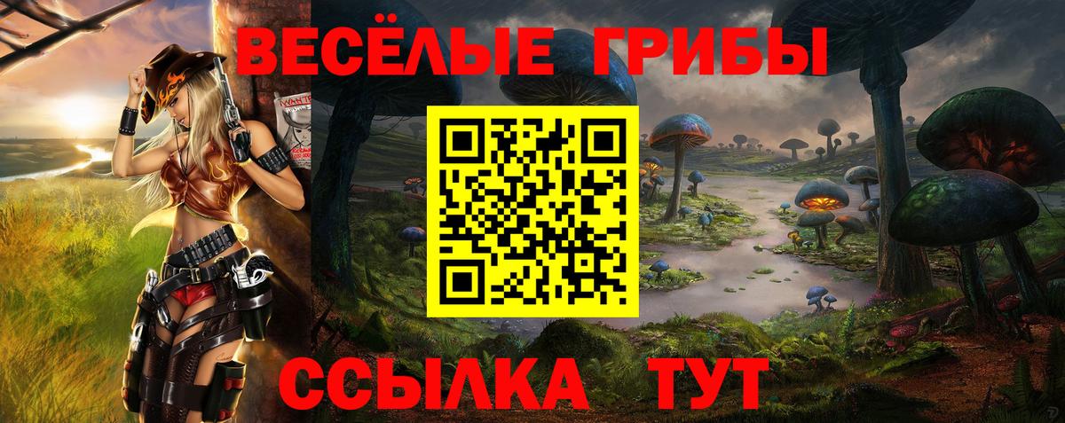 Псилоцибиновые грибы GOLDEN TEACHER Волоколамск